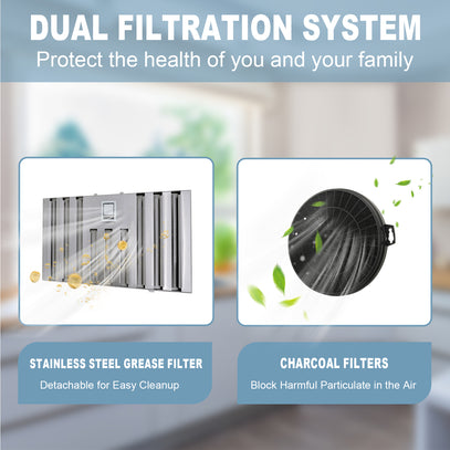Dual filtration system with stainless steel grease filter and charcoal filters on a blurred kitchen background.