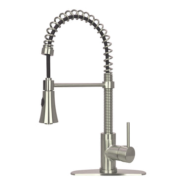 Akicon Pull-Down Kitchen Faucet, Single Handle Dual Sprayer with Deck Plate