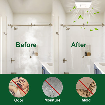 Bathroom showing 'Before' and 'After' with green text labels on a white wall.