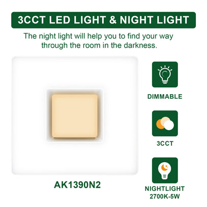 Light switch with features highlighted, including night light and dimmable options.