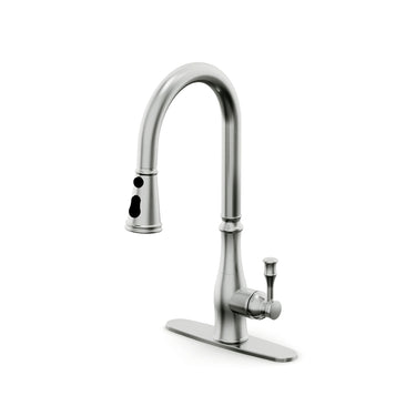 Kitchen Pull Down Sprayer, Single Handle, Single Hole Mount, Extendable Sprayer Head Faucet