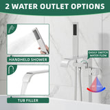 Shower system with handheld shower and tub filler, featuring two water outlet options.