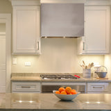 Modern kitchen with stainless steel stove and gray hood