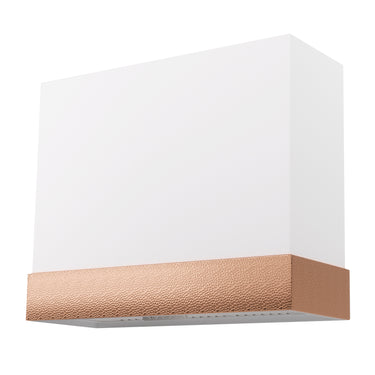 White wall light fixture with a beige accent on a white background