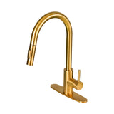 Gold kitchen faucet on a white background