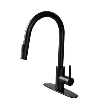 Black kitchen faucet on a white background