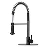 Black kitchen faucet with a flexible hose on a white background