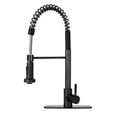 Black kitchen faucet with a flexible hose on a white background