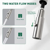 Stainless steel faucet with two water flow modes labeled on a white background