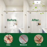 Bathroom before and after cleaning with text labels for odor, moisture, and mold.