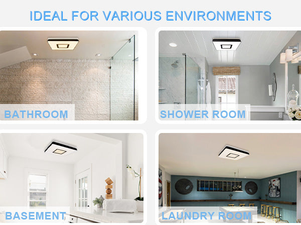 Light fixture shown in various indoor environments including a bathroom, shower room, basement, and laundry room.