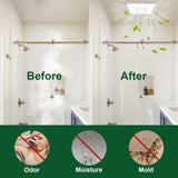 Bathroom showing 'Before' and 'After' with green text labels for odor, moisture, and mold.