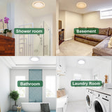 Collage of different rooms labeled as 'Shower room', 'Basement', 'Bathroom', and 'Laundry Room'.