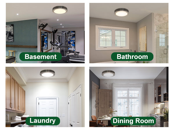 Four different rooms labeled as Basement, Bathroom, Laundry, and Dining Room with ceiling lights.