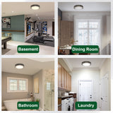 Four different rooms labeled 'Basement', 'Dining Room', 'Bathroom', and 'Laundry' with lighting fixtures.