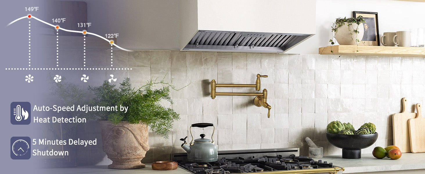 Modern kitchen with a range hood, stove, and decorative elements.
