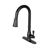 Black kitchen faucet on a white background