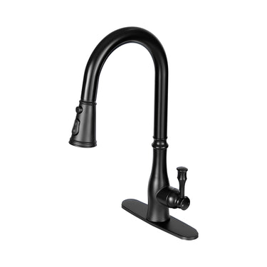 Black kitchen faucet on a white background